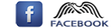 Facbook-logo-3b43hz5c5yy3au2zbs3k00.png